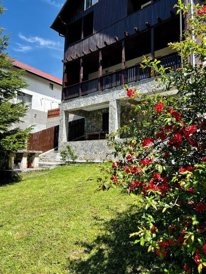 The Bear House 2 Villa Buşteni Dış mekan fotoğraf